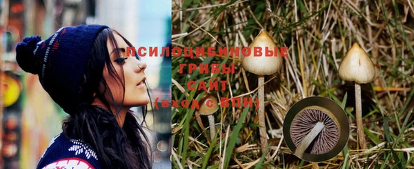твердый Медвежьегорск
