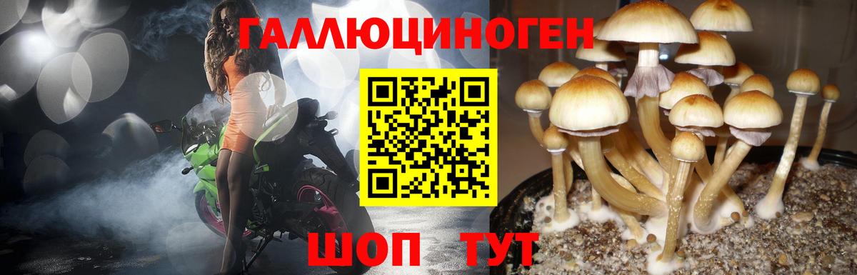 Псилоцибиновые грибы GOLDEN TEACHER  Вход с VPN  Лысьва 